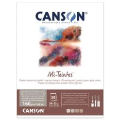 Bloc Mi-teintes Canson -Couleurs d'Art Promos Boutique BlocMi teintesCanson 5