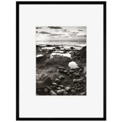 Cadre Nielsen C2 En Aluminium