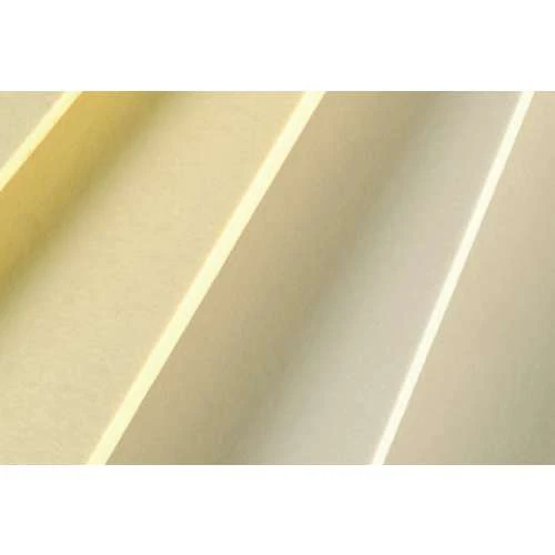 Canson Carton Conservation 1 Canson Carton Conservation