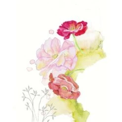 Couleurs d'Art Promos Boutique -Couleurs d'Art Promos Boutique Coffretcadeaude36crayonsaquarellablesGoldfaberFaber Castell 1