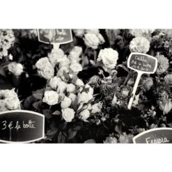 Coffret De Pastels Carrés Conte -Couleurs d'Art Promos Boutique CoffretdepastelscarrC3A9sConte 6