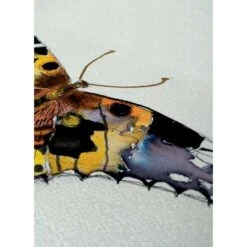 Coffrets De Feutres Sakura Koi -Couleurs d'Art Promos Boutique CoffretsdefeutresSakuraKoi 7