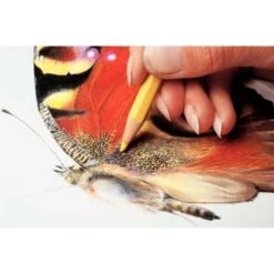 Crayon De Couleur Prismalo En Coffret Métal -Couleurs d'Art Promos Boutique CrayondecouleurPrismaloencoffretmC3A9tal 8