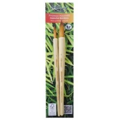 Lot De 2 Pinceaux Aquarelle Bambou Série 700RO