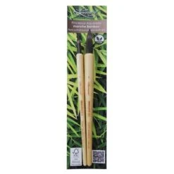 Lot De 2 Pinceaux Aquarelle Bambou Série 702RO