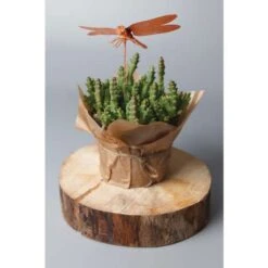 Métal à Immerger Artidee® -Couleurs d'Art Promos Boutique MC3A9talC3A0immergerArtideeC2AE 2