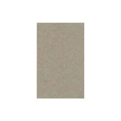 Canson Mi-Teintes Gris