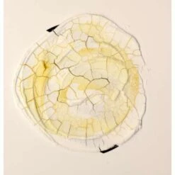 Pâte à Craqueler Golden 9 Pâte à Craqueler Golden -Couleurs d'Art Promos Boutique PC3A2teC3A0craquelerGolden 4