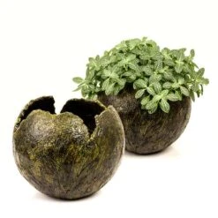 Pâte De Modelage Légère Gerstaecker 5 Pâte De Modelage Légère Gerstaecker -Couleurs d'Art Promos Boutique PC3A2tedemodelagelC3A9gC3A8reGerstaecker 2