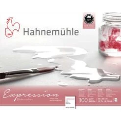 Papier Aquarelle Expression Hanemühle