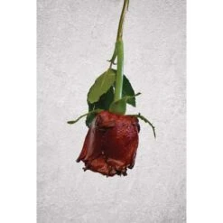 Rouille Liquide Ultra-fine Artidee® -Couleurs d'Art Promos Boutique Rouilleliquideultra fineArtideeC2AE 4