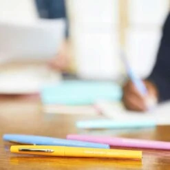 Set De 16 Feutres Paper Mate Flair -Couleurs d'Art Promos Boutique Setde16feutresPaperMateFlair 5