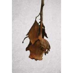 Set Rouille à Immerger Artidee® ® -Couleurs d'Art Promos Boutique SetrouilleC3A0immergerArtideeC2AEC2AE 5