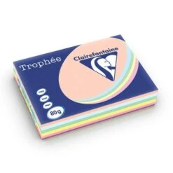 Trophée Clairefontaine -Couleurs d'Art Promos Boutique TrophC3A9eClairefontaine 2