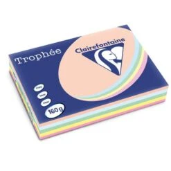 Trophée Clairefontaine -Couleurs d'Art Promos Boutique TrophC3A9eClairefontaine 5